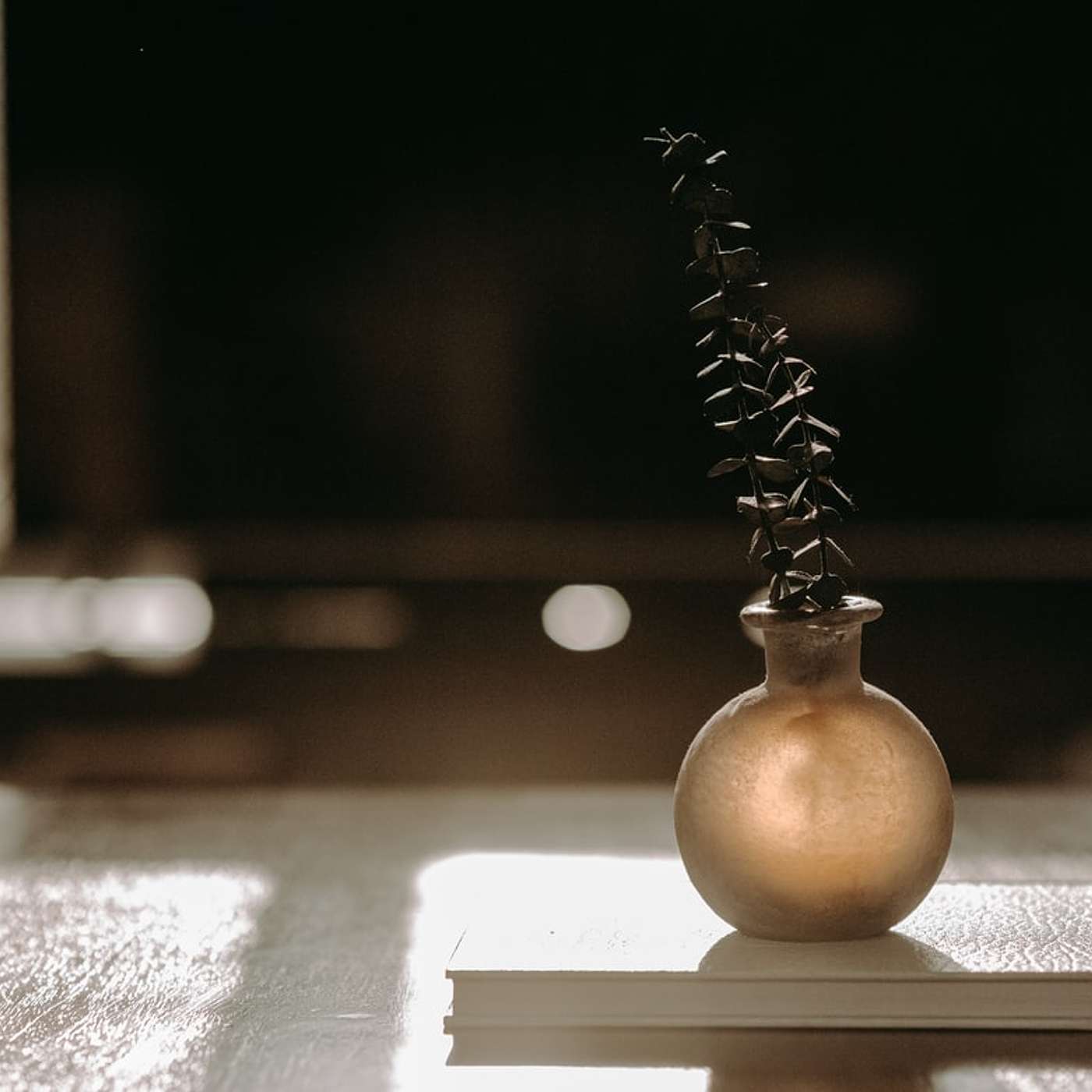 Sunday Service Podcast January 16th – Holy Wisdom