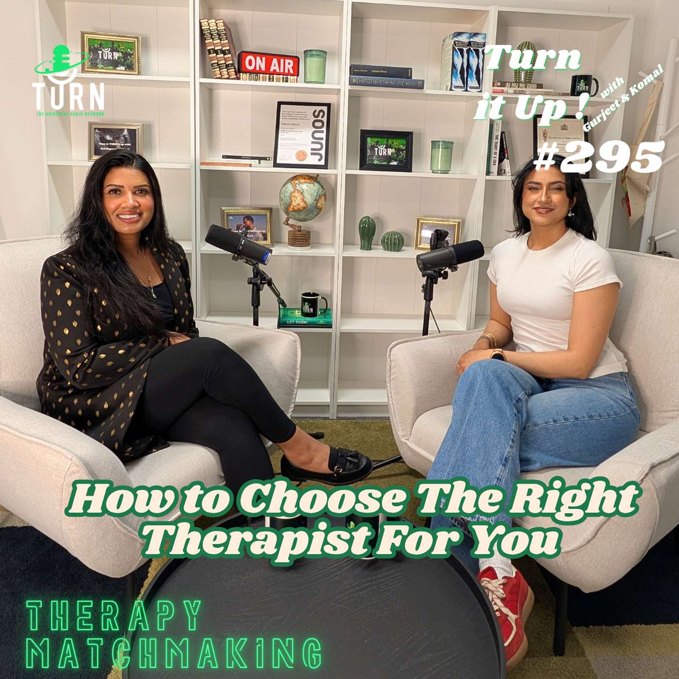 #295 Therapy Matchmaking, How to Choose The Right Therapist For You episode artwork