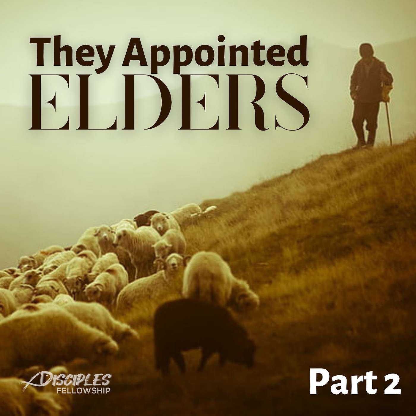 They Appointed Elders in Every Church, Part 2