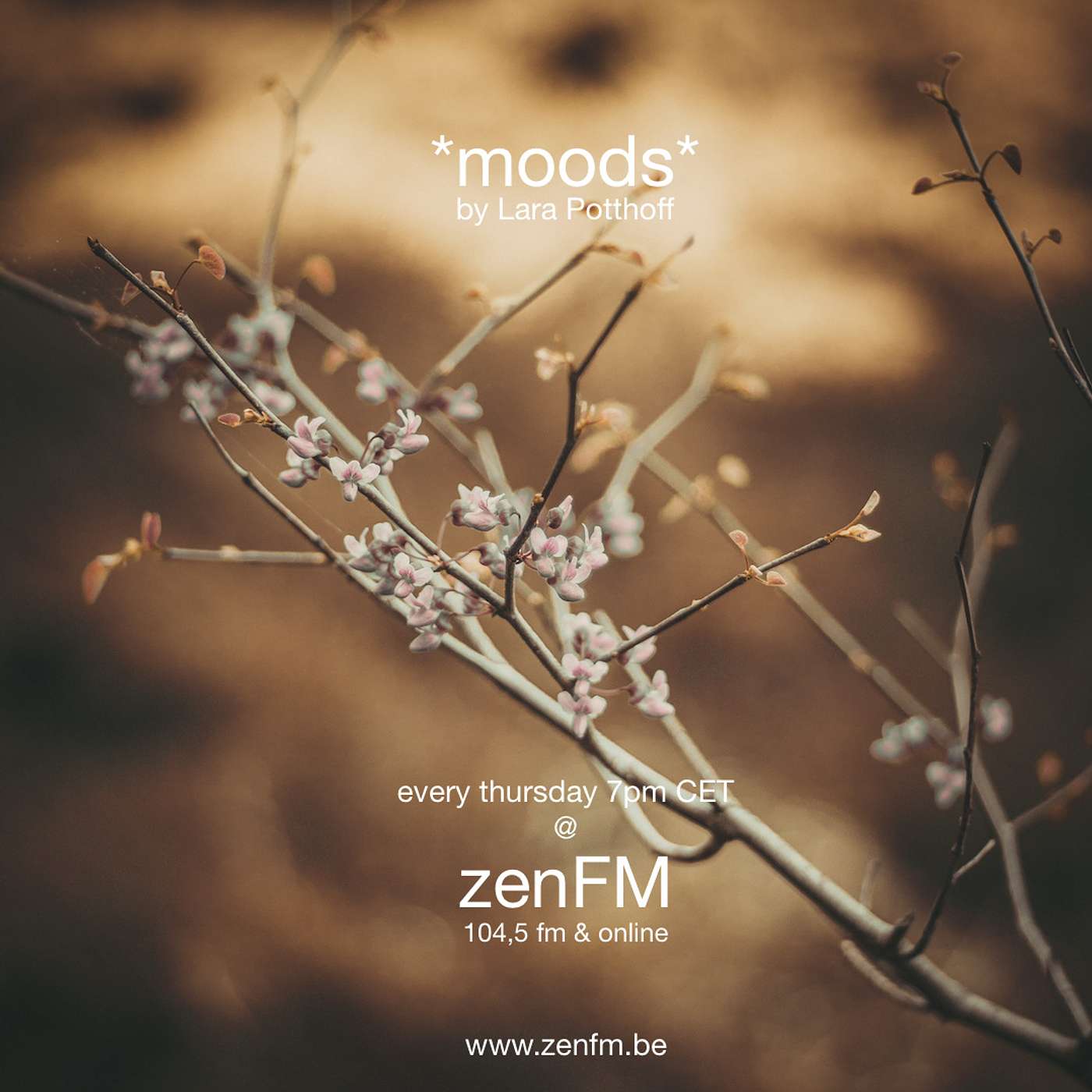 *moods* @ zenFM 29.04.2021 by Lara Potthoff