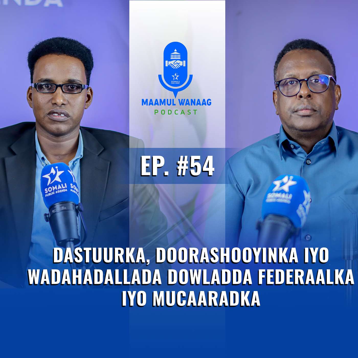 Dastuurka, Doorashooyinka & WadahadalladaDowladda Federaalka & Mucaaradka