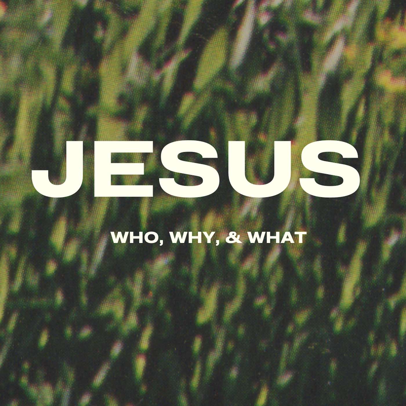 Jesus: Who? (high school) episode artwork