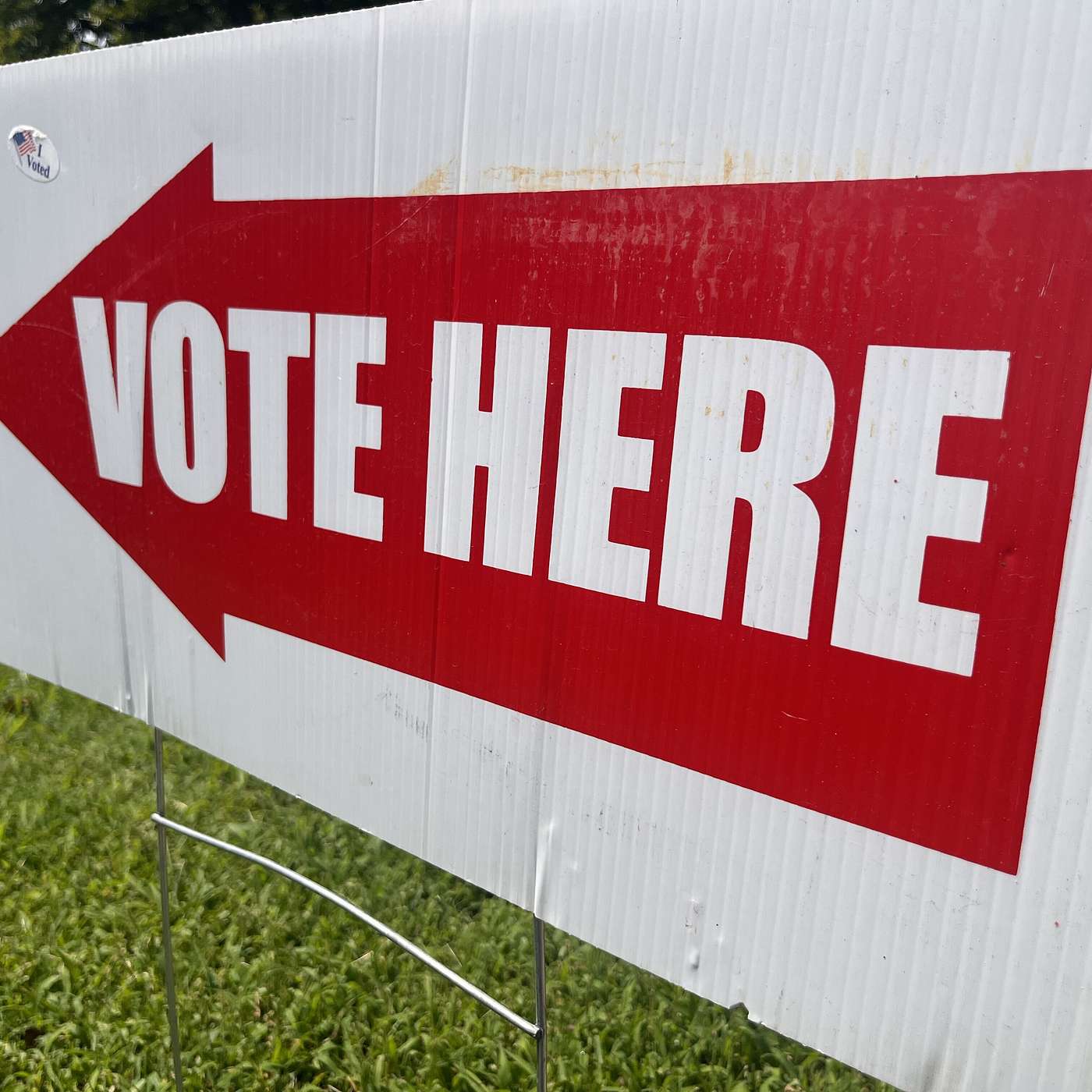 On the Fly: State Primary and General Election Preview