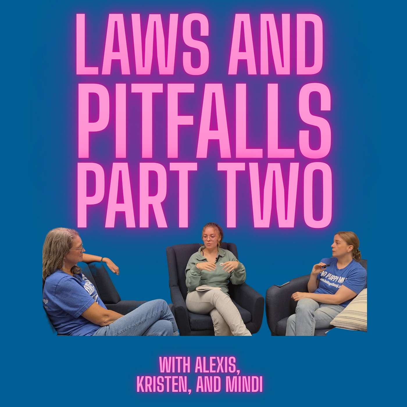 Ep24: Laws and Pitfalls Part 2
