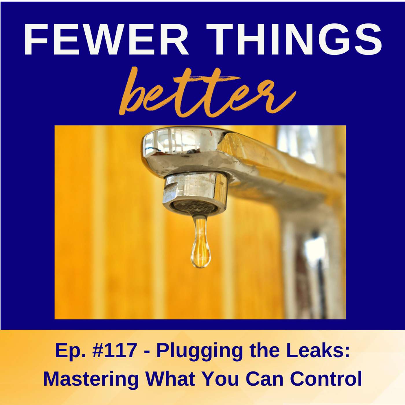 Ep. 117 - Plugging the Leaks: Mastering What You Can Control