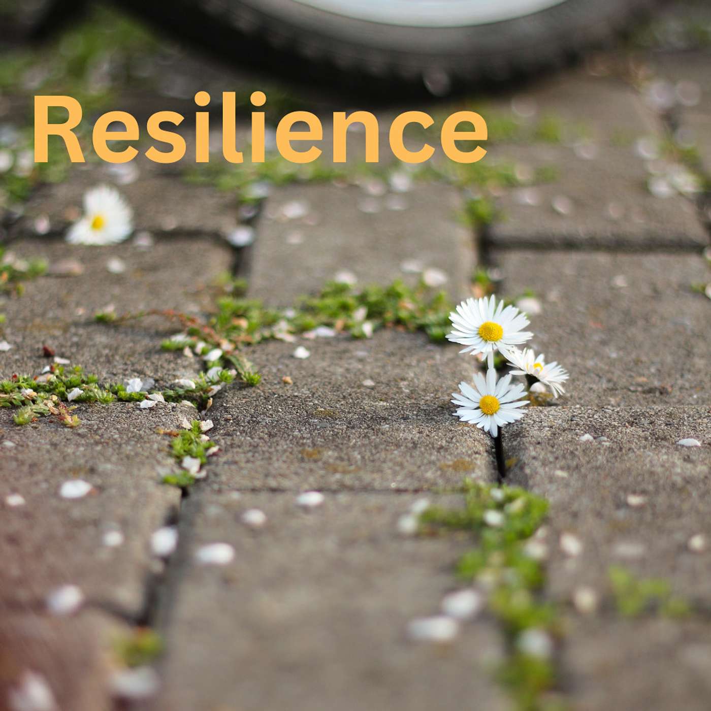 Resilience Through Grief