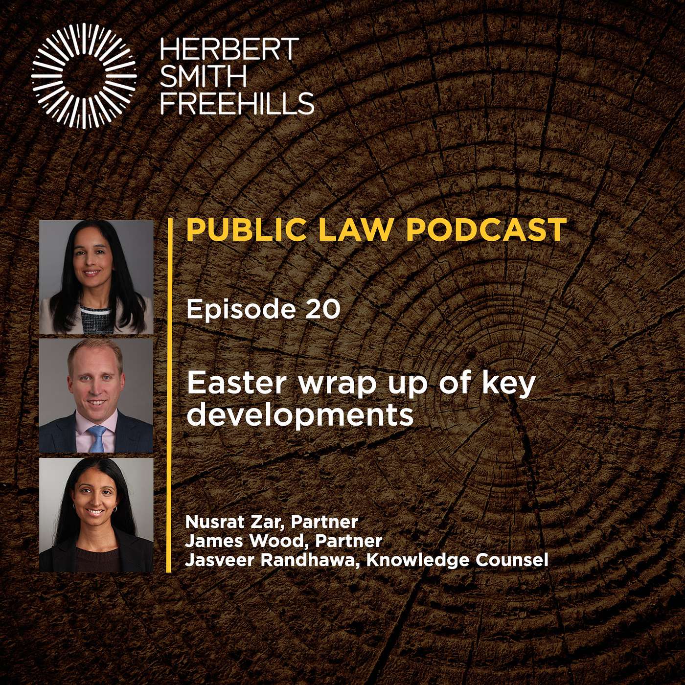 Public Law Podcast EP20: Easter wrap up of key developments episode artwork