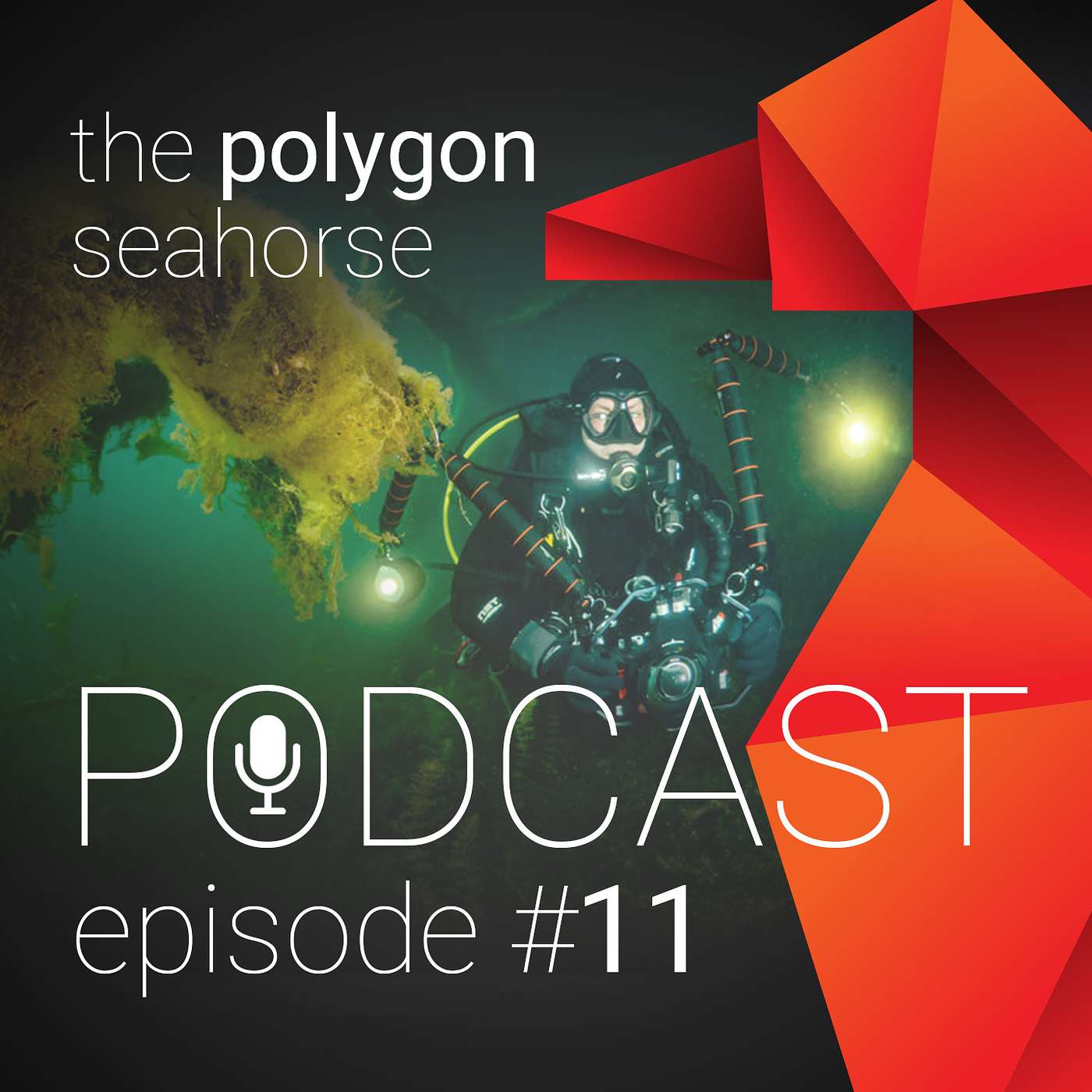 Episode #11: Onderwaterfotografie met Filip Staes en Luc Rooman