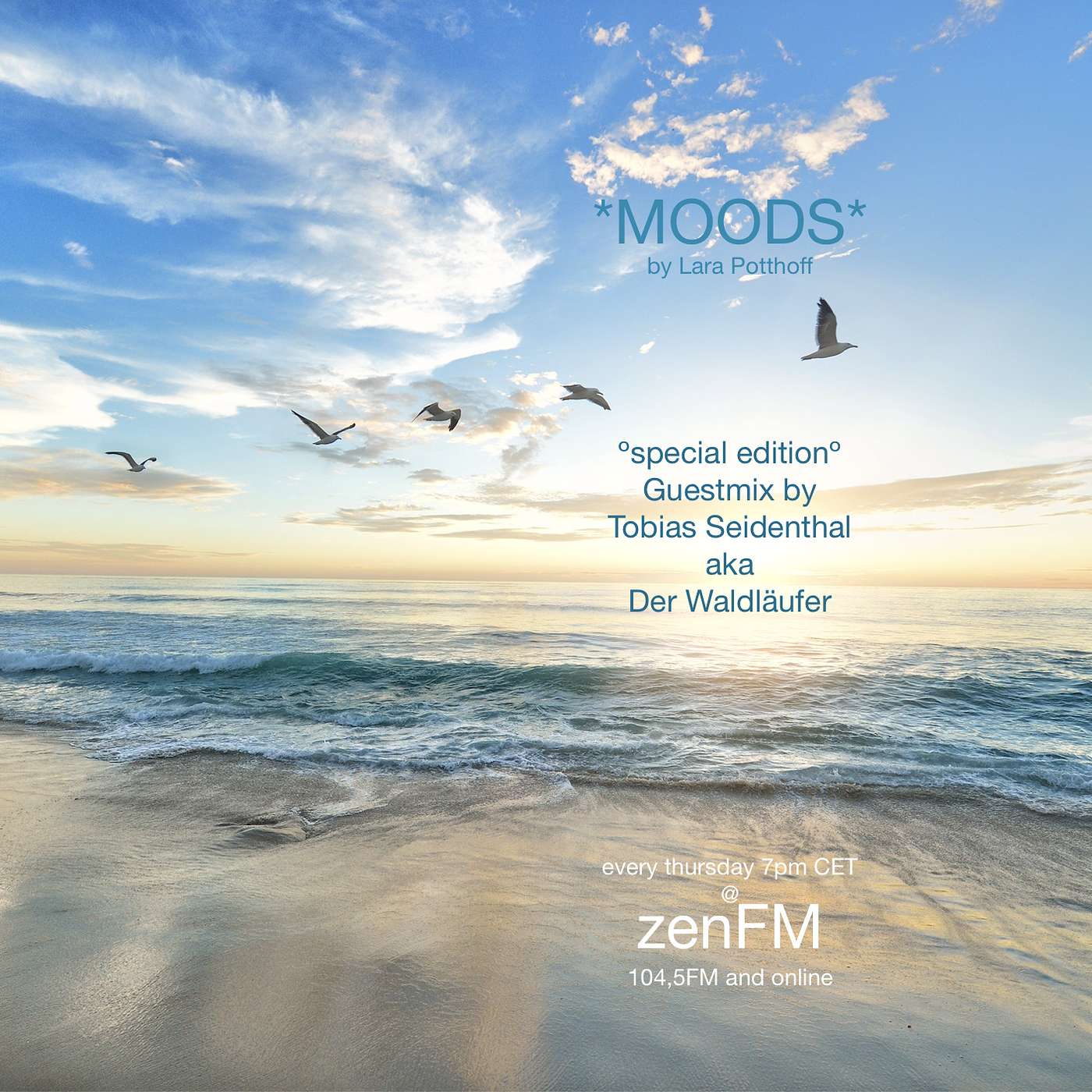 *MOODS* Guestmix Tobias Seidenthal aka Der Waldläufer @ zenFM 01.08.2019 episode artwork