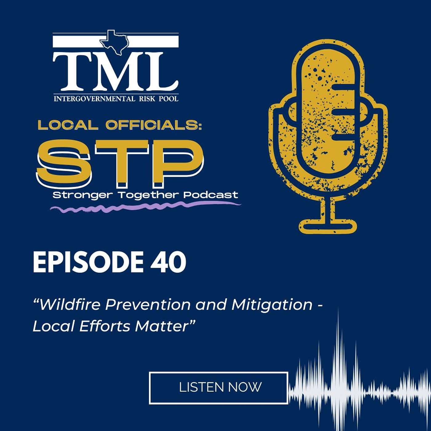 Local Officials: Stronger, Together Podcast