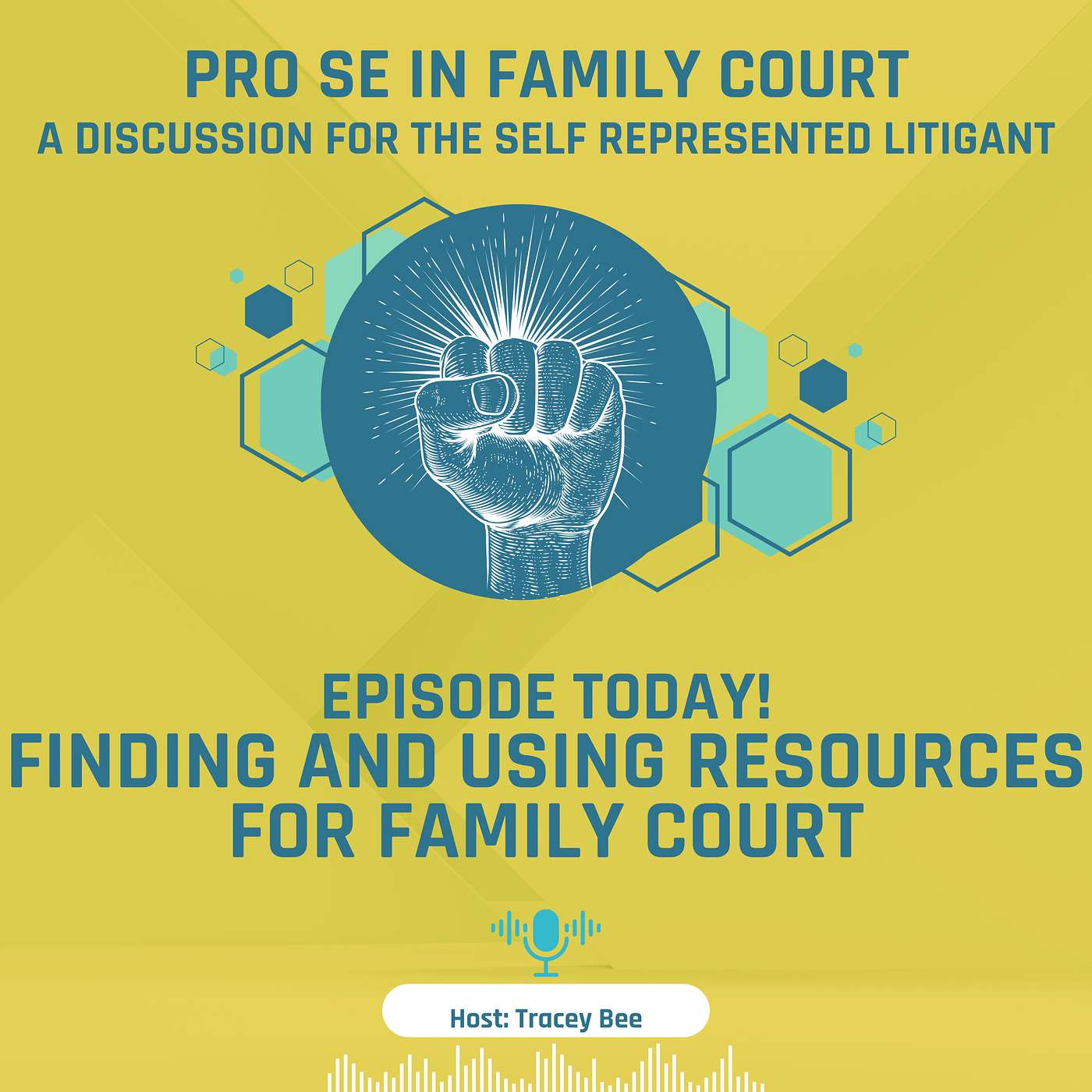 Episode 8: Finding and Using Resources for Family Court episode artwork