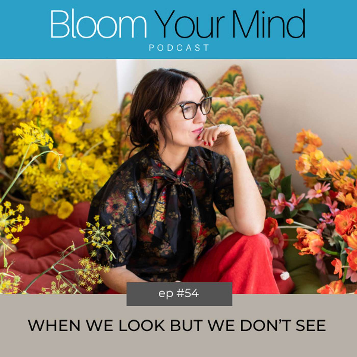 Ep 54: When We Look But We Don’t See