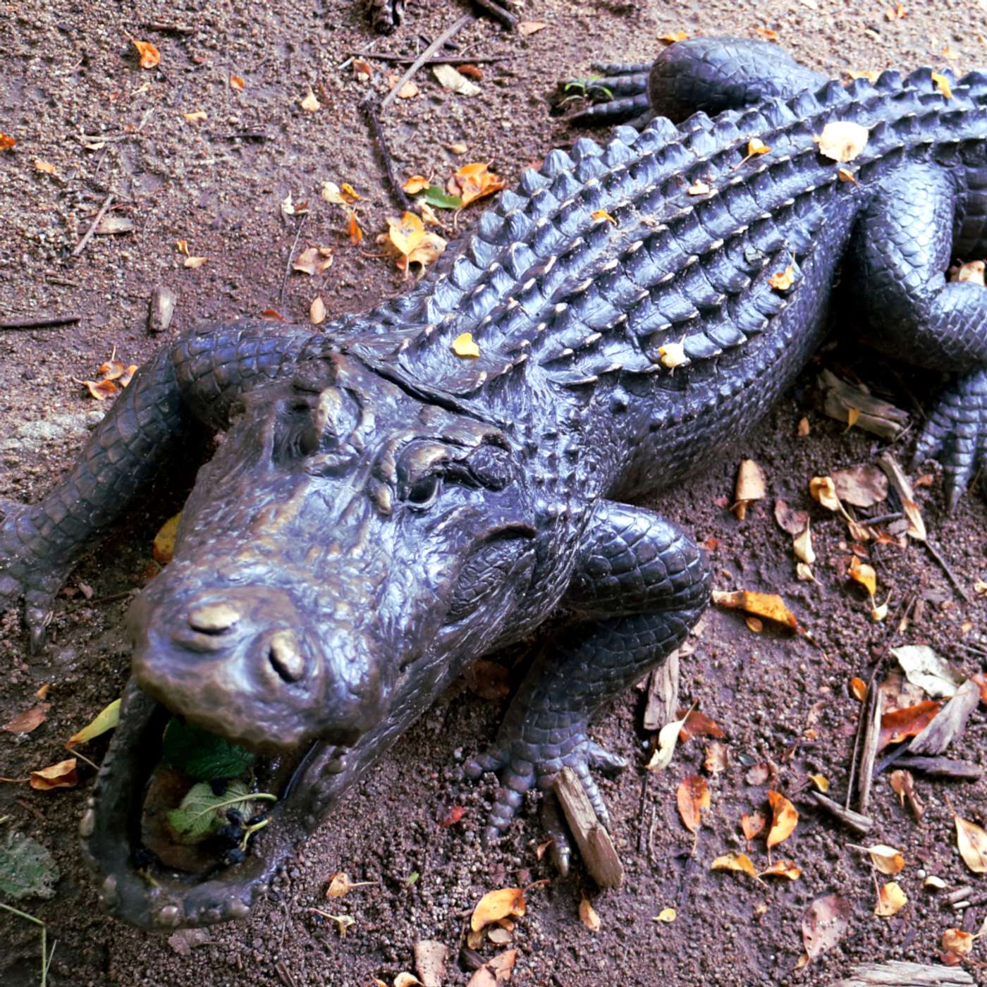 Kerry Shamblin Vedic Astrology