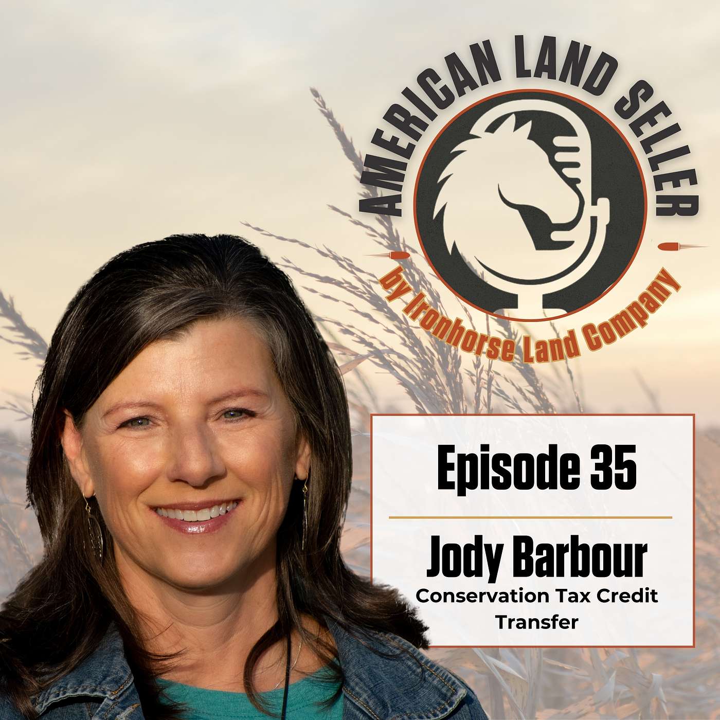 American Land Seller Podcast