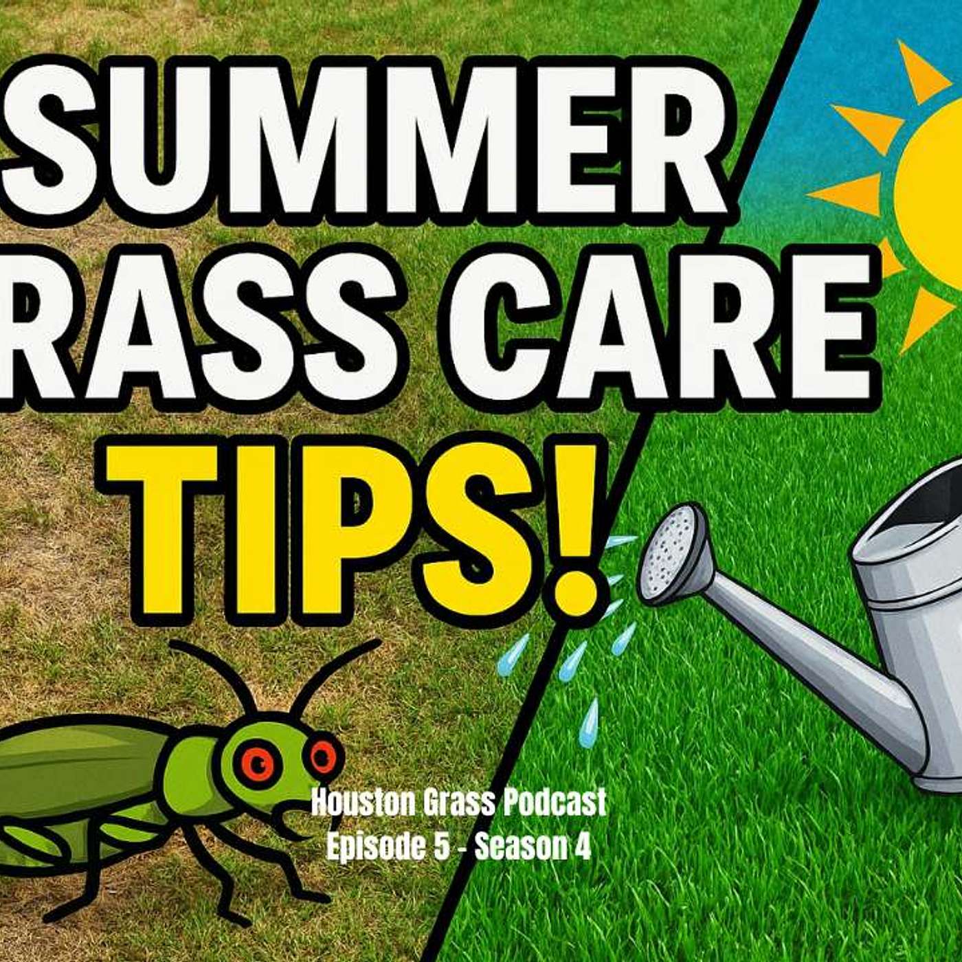 Houston Grass - How to Buy, Install and Care for Grass in the Houston Area
