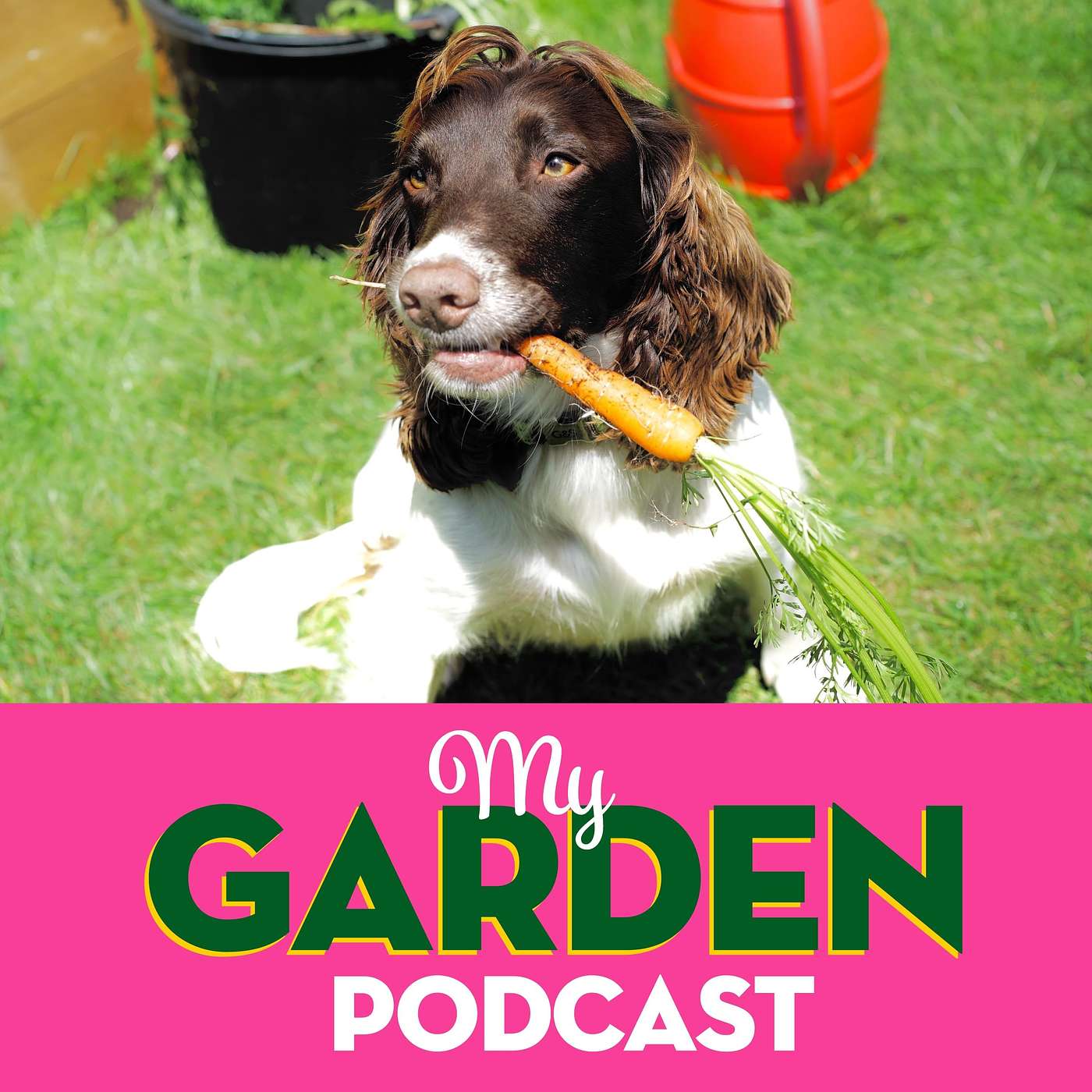 My Garden Podcast - Gardening Podcast