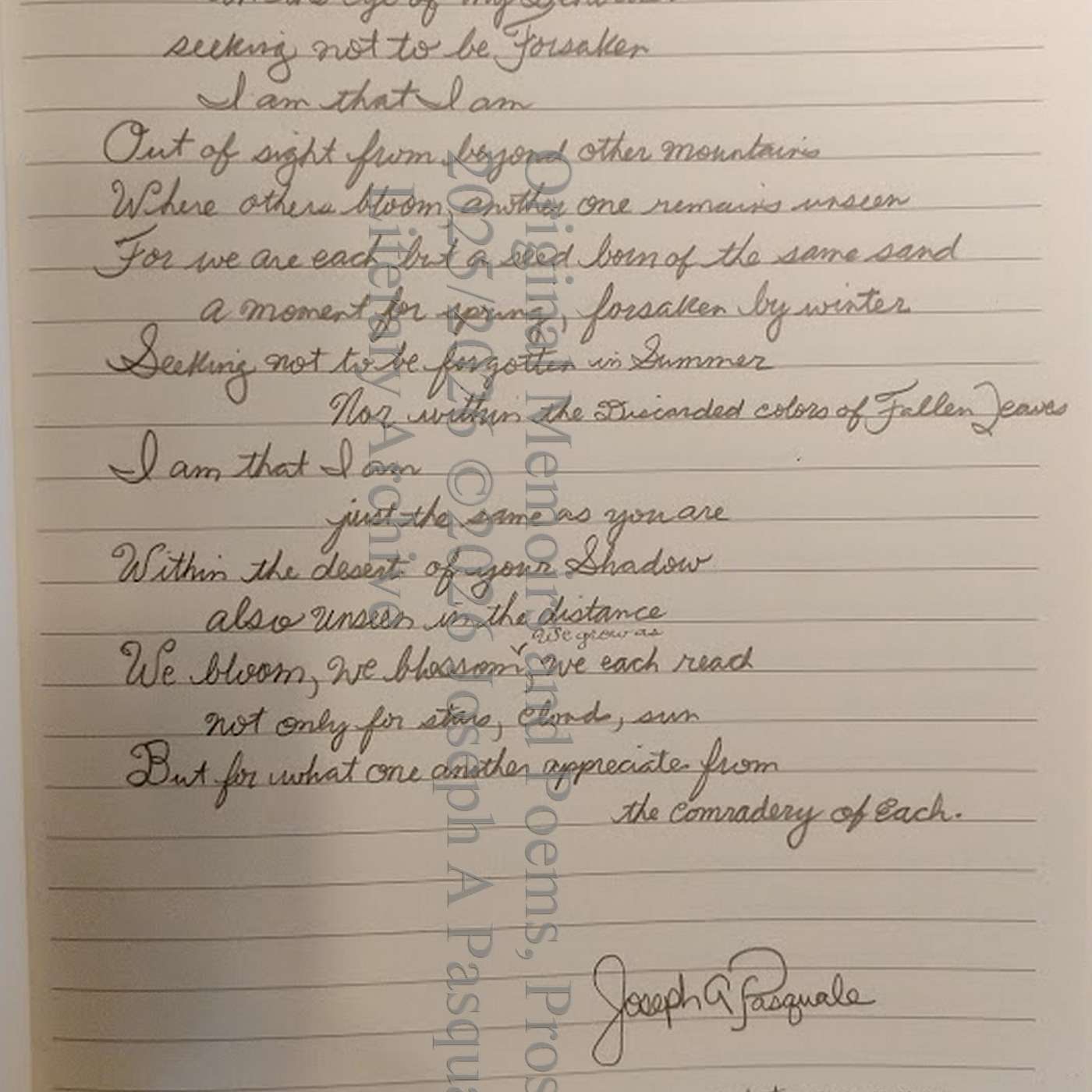 Within the Desert of Our Shadows - original poem by Pasquale episode artwork