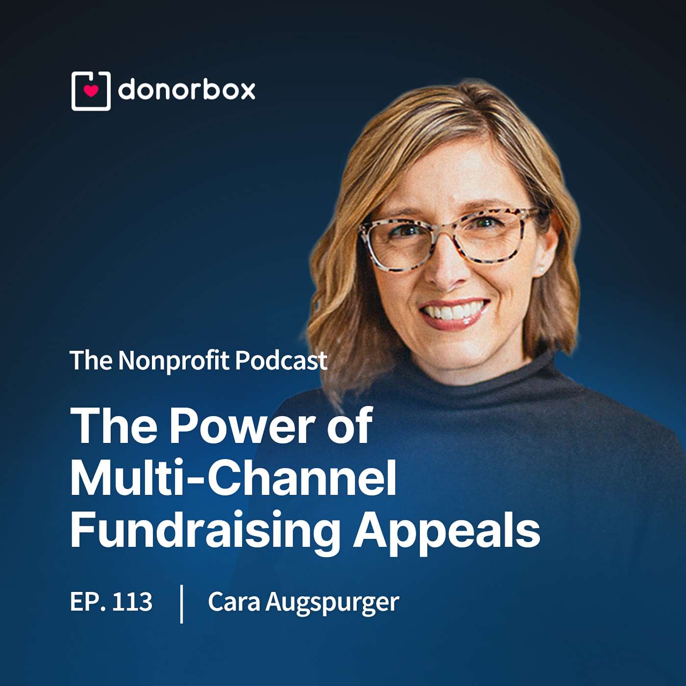 The Nonprofit Podcast