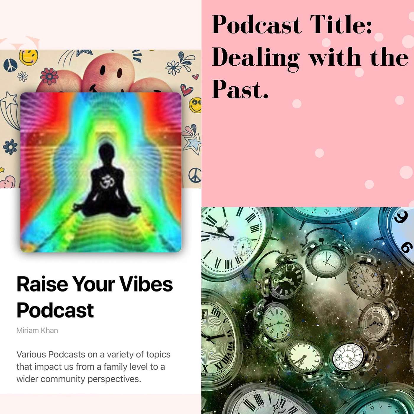 Podcast Title: Dealing with the Past. episode artwork