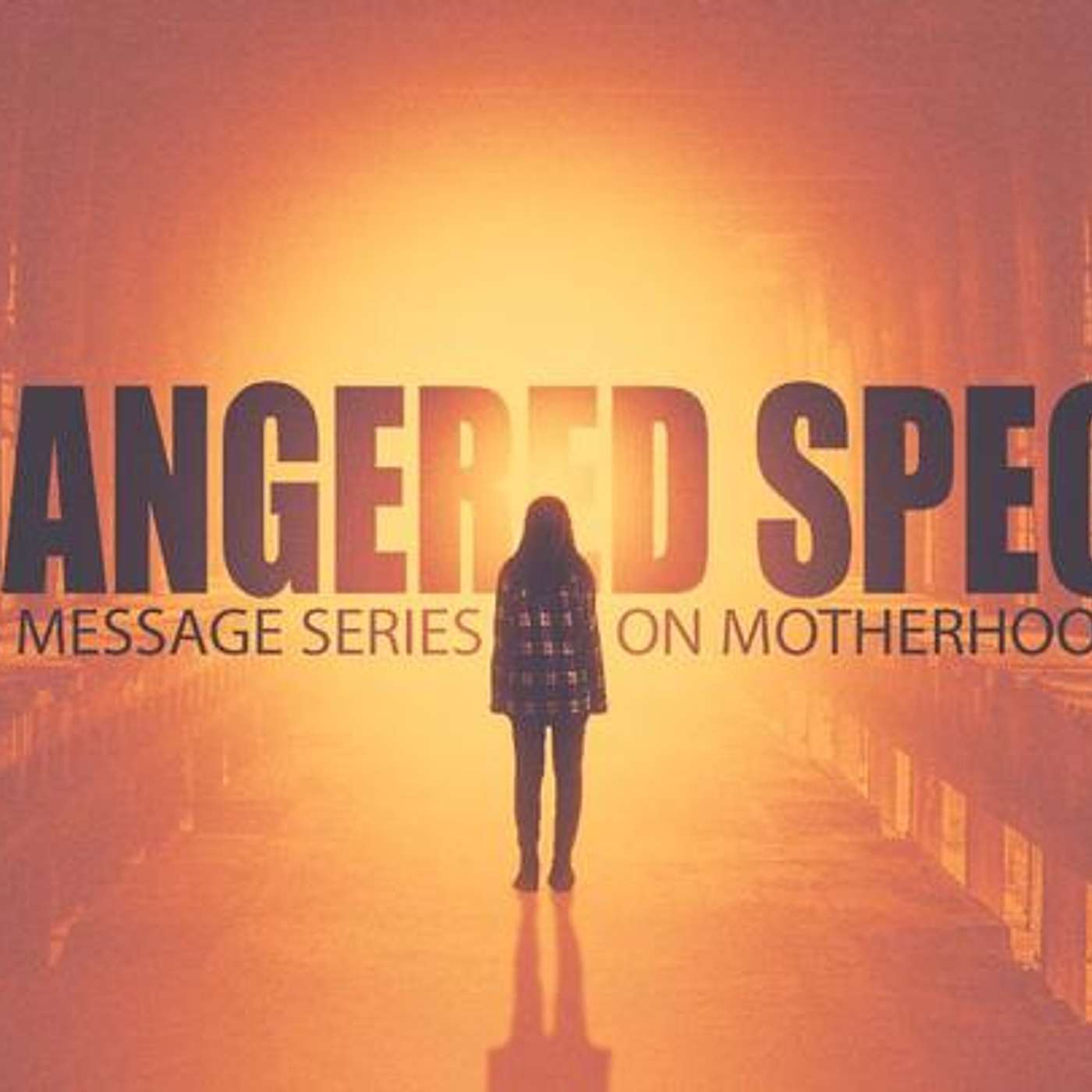 Endangered Species: Motherhood Part 1: You are not less episode artwork