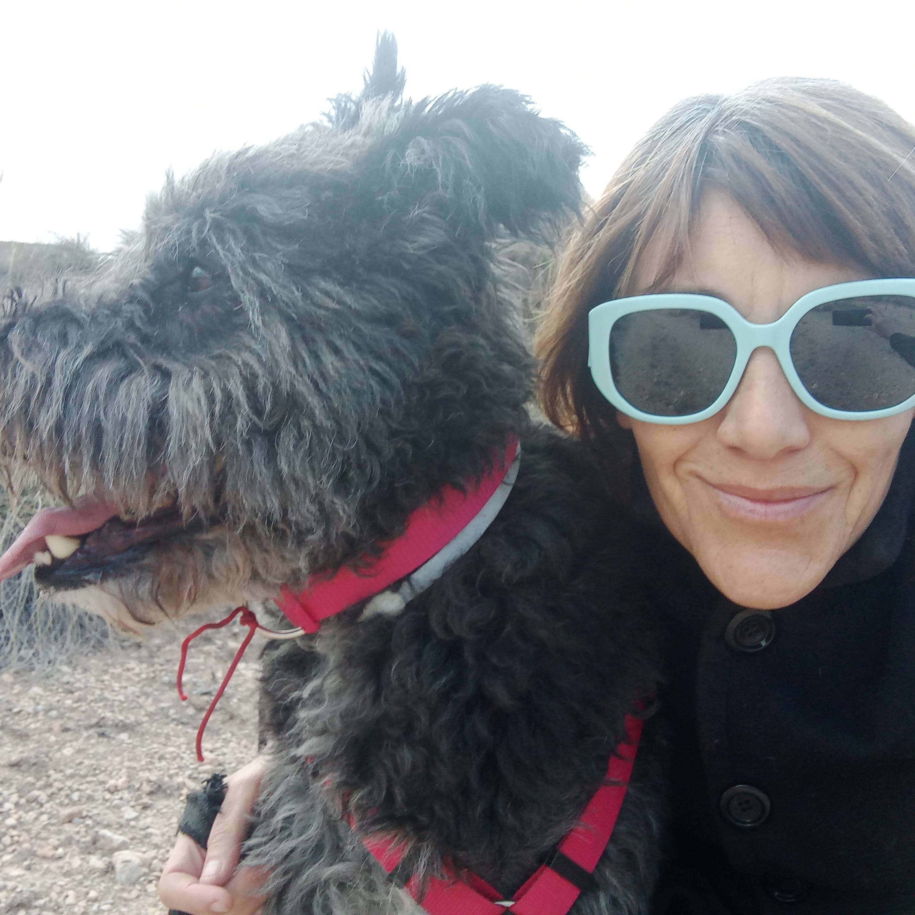 En la Alfombra de Groot cover art