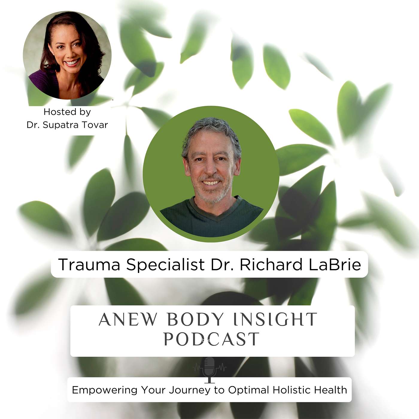 ANEW Insight