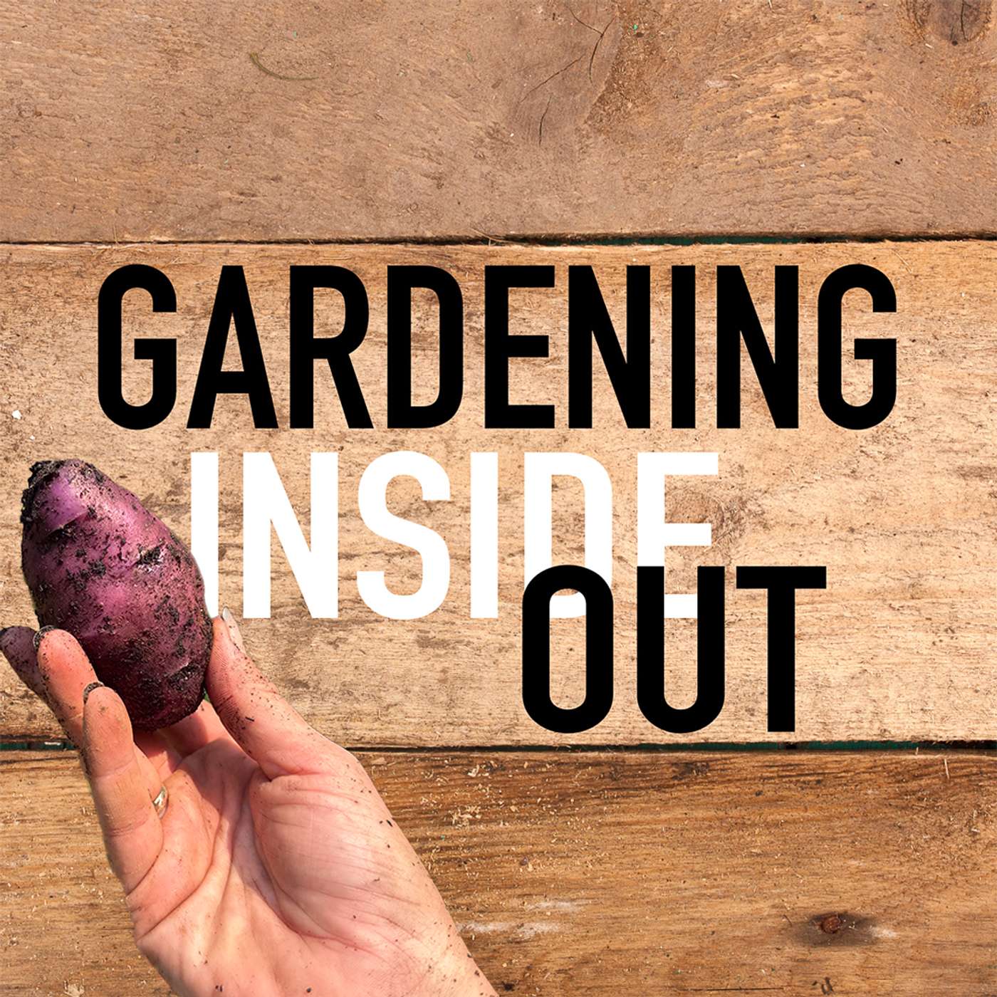 Ep. 158 | All about Baptisia, Fall potatoes, Recipes with Tyler and Caroline | Aug 8 episode artwork