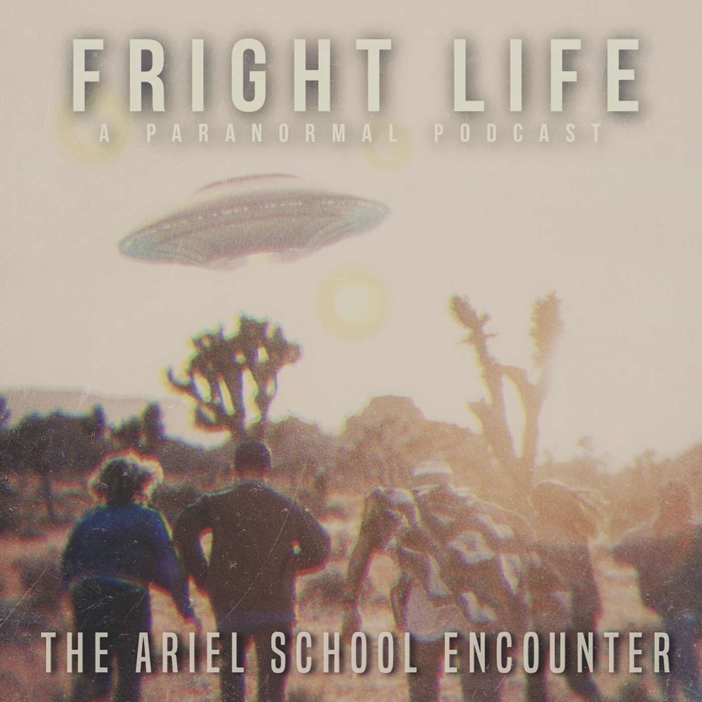 Episode 29: The Ariel School Encounter episode artwork