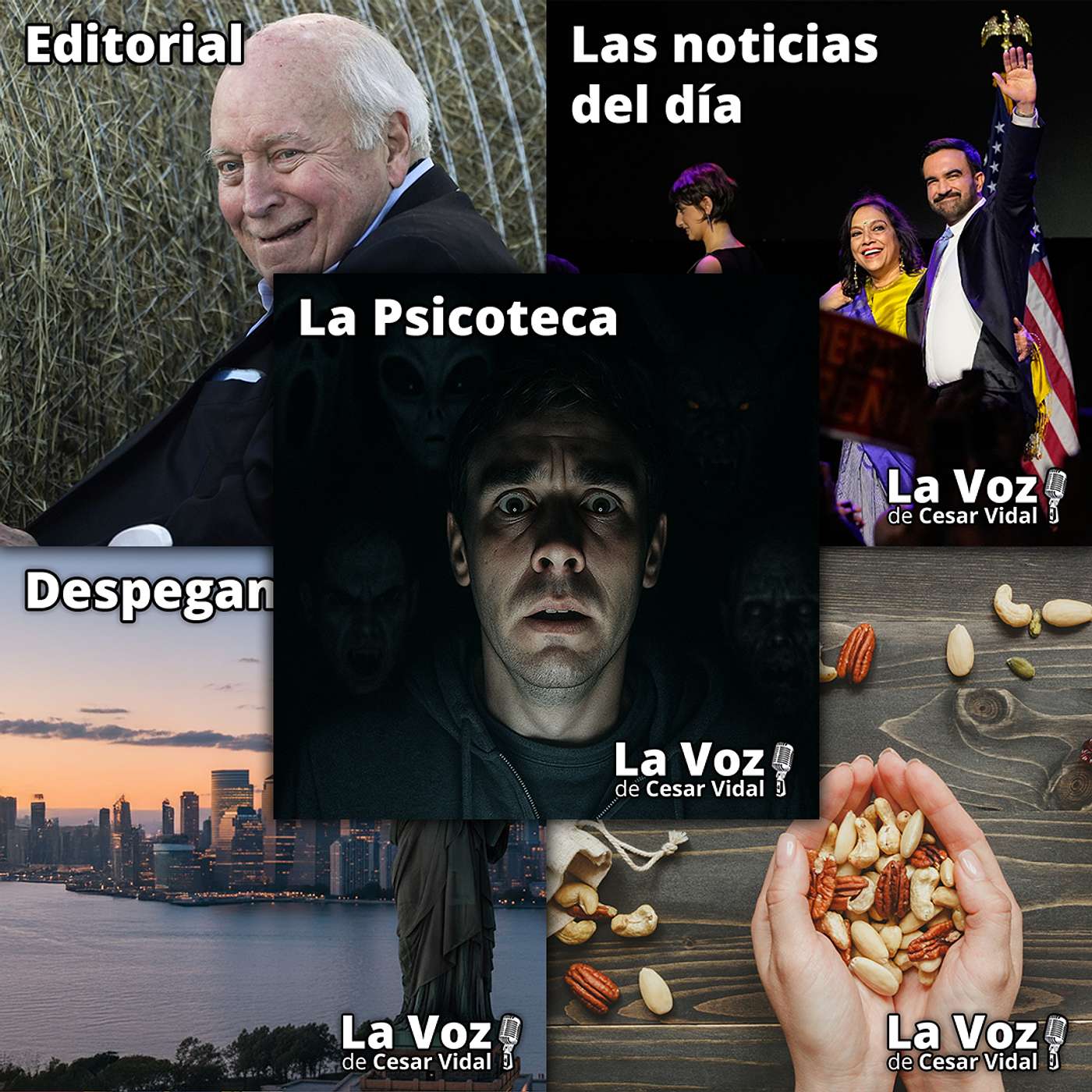 Programa Completo de La Voz de César Vidal - 05/11/25