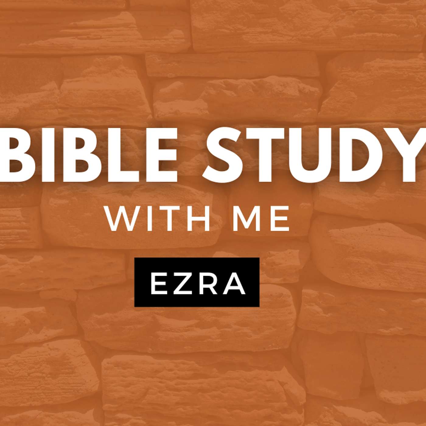 Ezra 1 | Who Allowed The Exiles To Return To Jerusalem? [Bible Study WITH Me] episode artwork