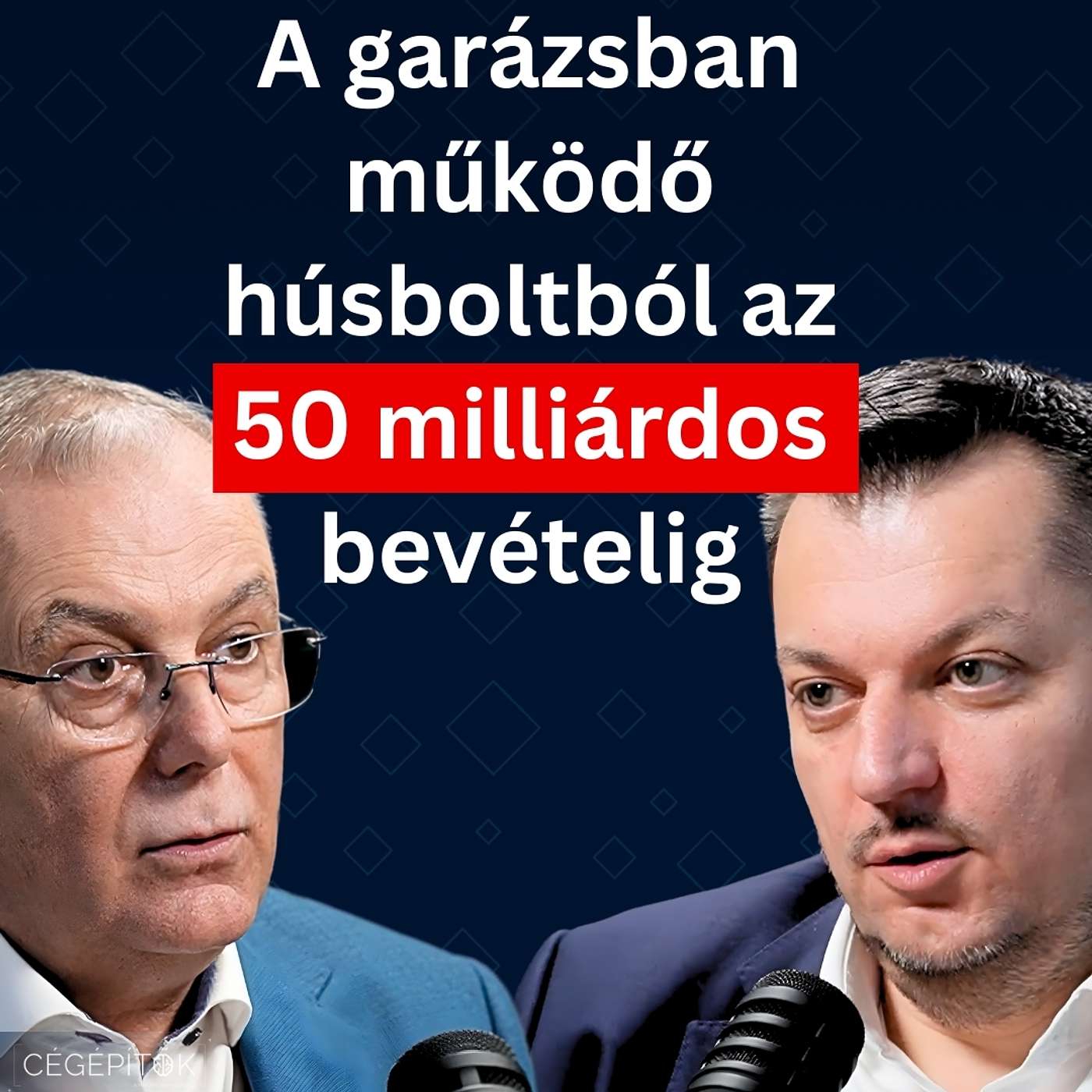 A garázsból indulva építettünk egy több milliárdos cégóriást - Berszány Tibor, Bertis A garázsból indulva építettünk egy több milliárdos cégóriást - Berszány Tibor, Bertis