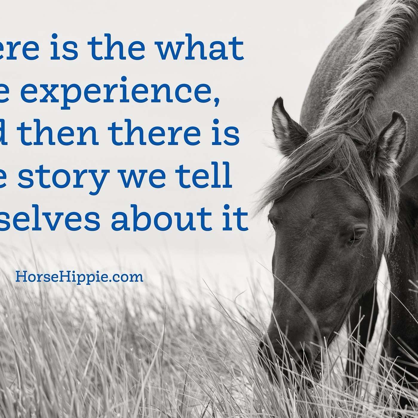 The Story We Tell Ourselves