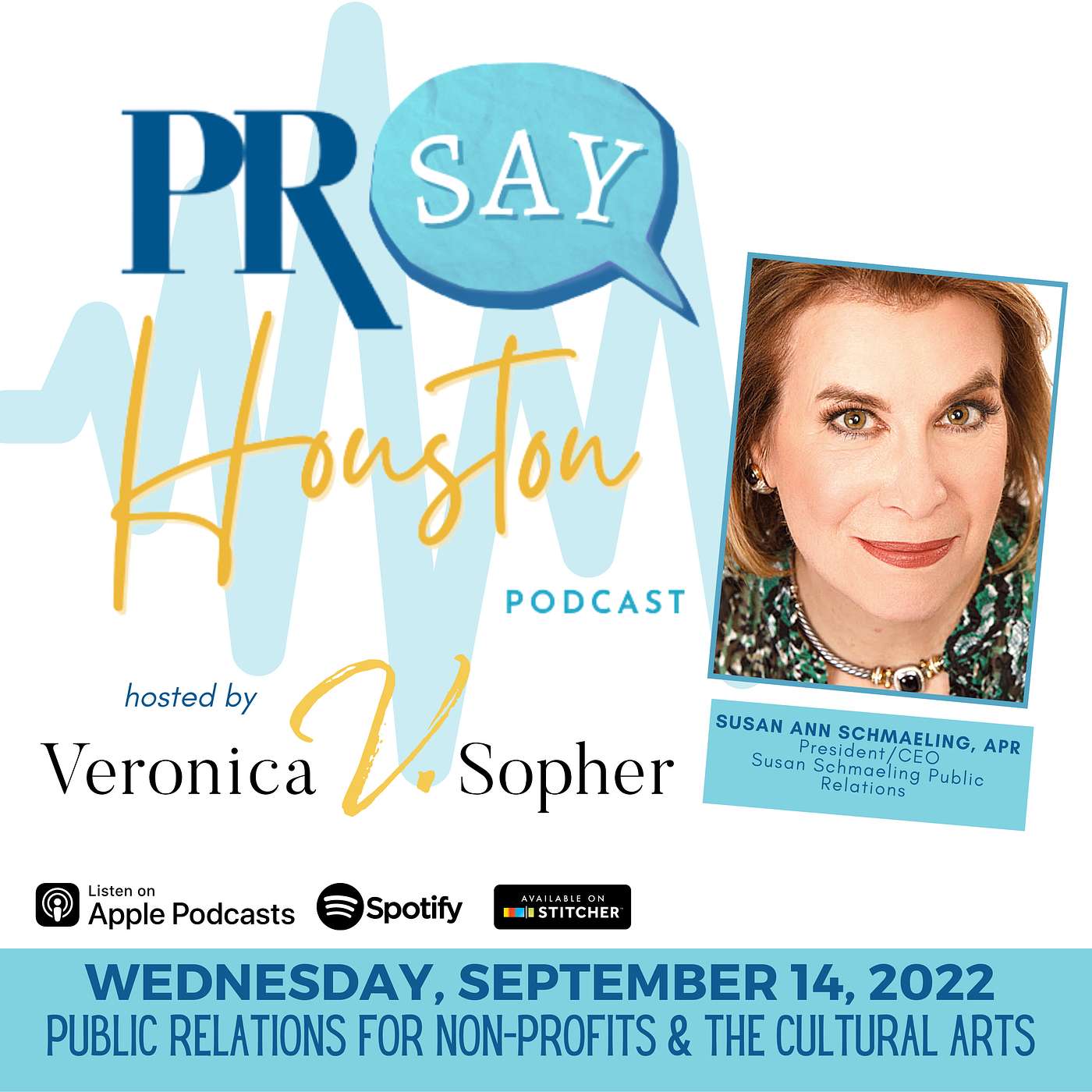 Public Relations For Non-Profits & The Cultural Arts with Susan Ann Schmaeling episode artwork