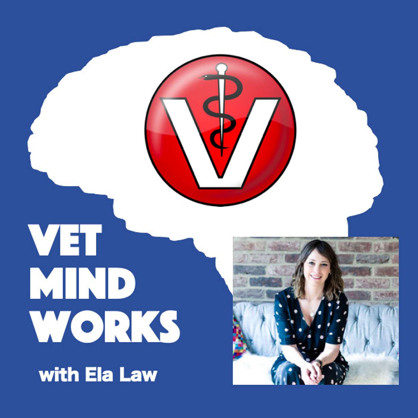 Vet Mind Works Podcast