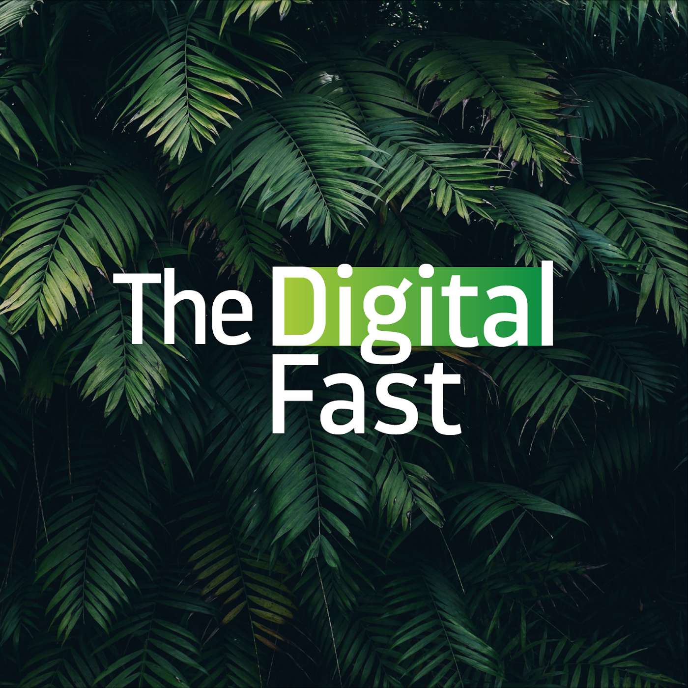 Traps + Truth | Digital Fast 2025 | Luke 5:1-5 | Krista Boan episode artwork