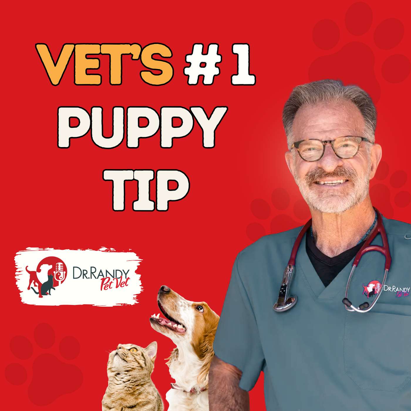 The Secret to a Healthy Puppy: It’s All in the Gut
