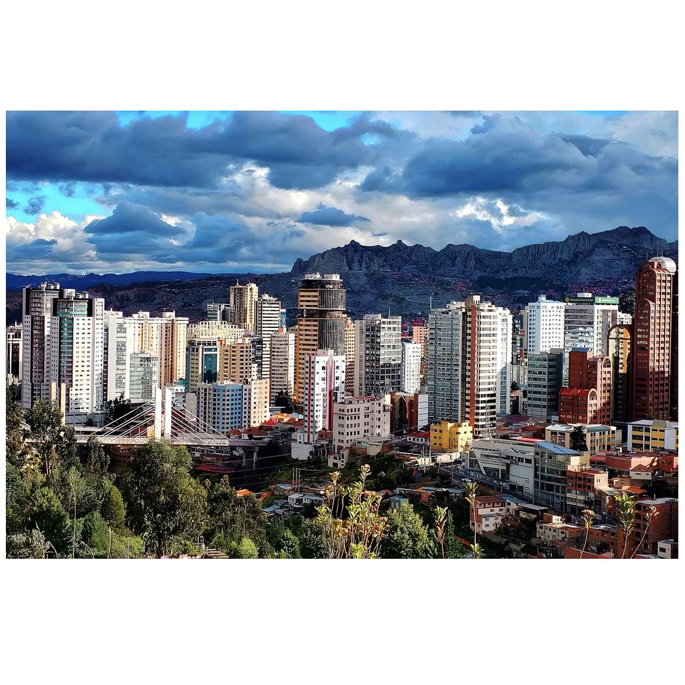 Thursday, November 13, 2025 - 🎶 In the circle, the circle of life 🎶🦁