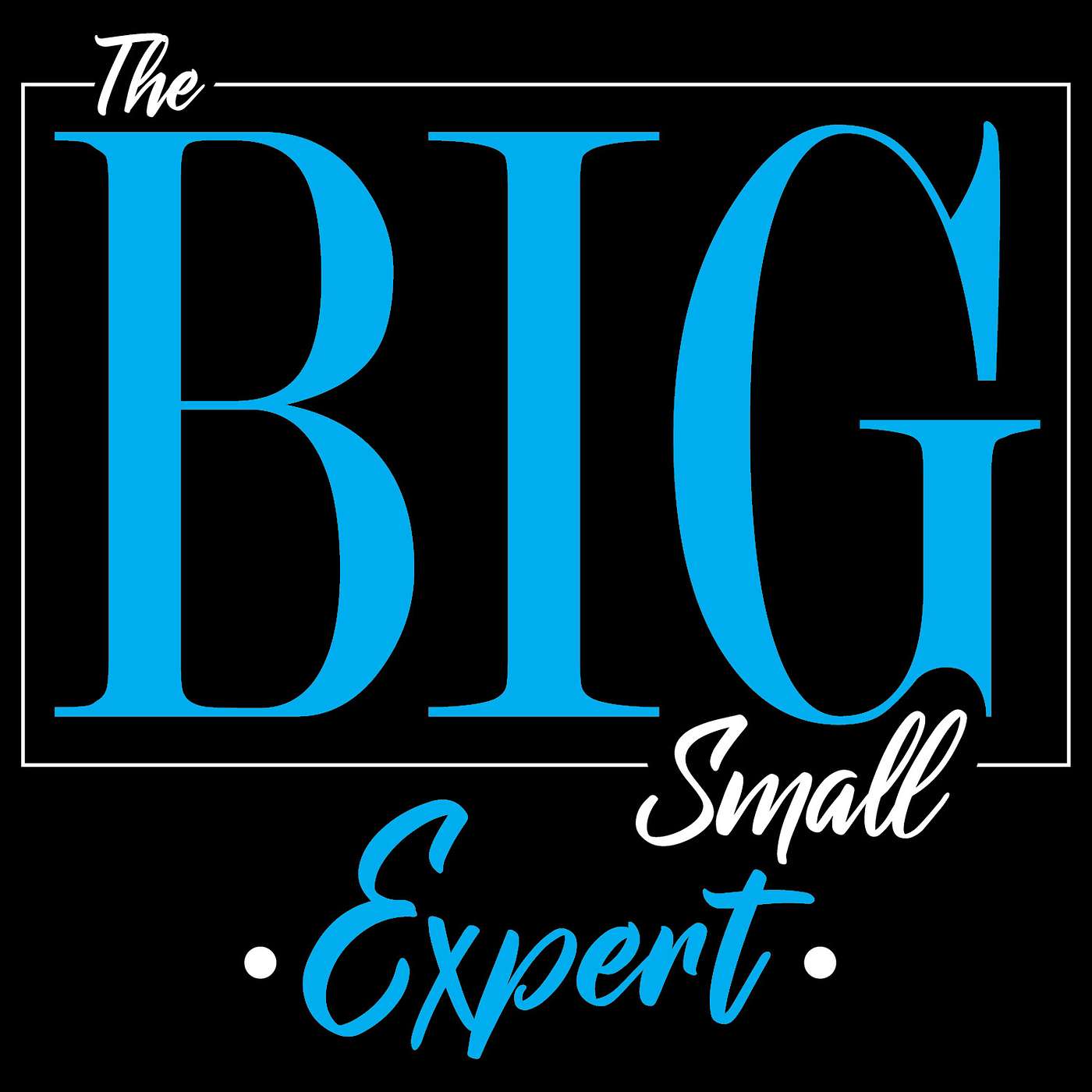 The Big Small Expert