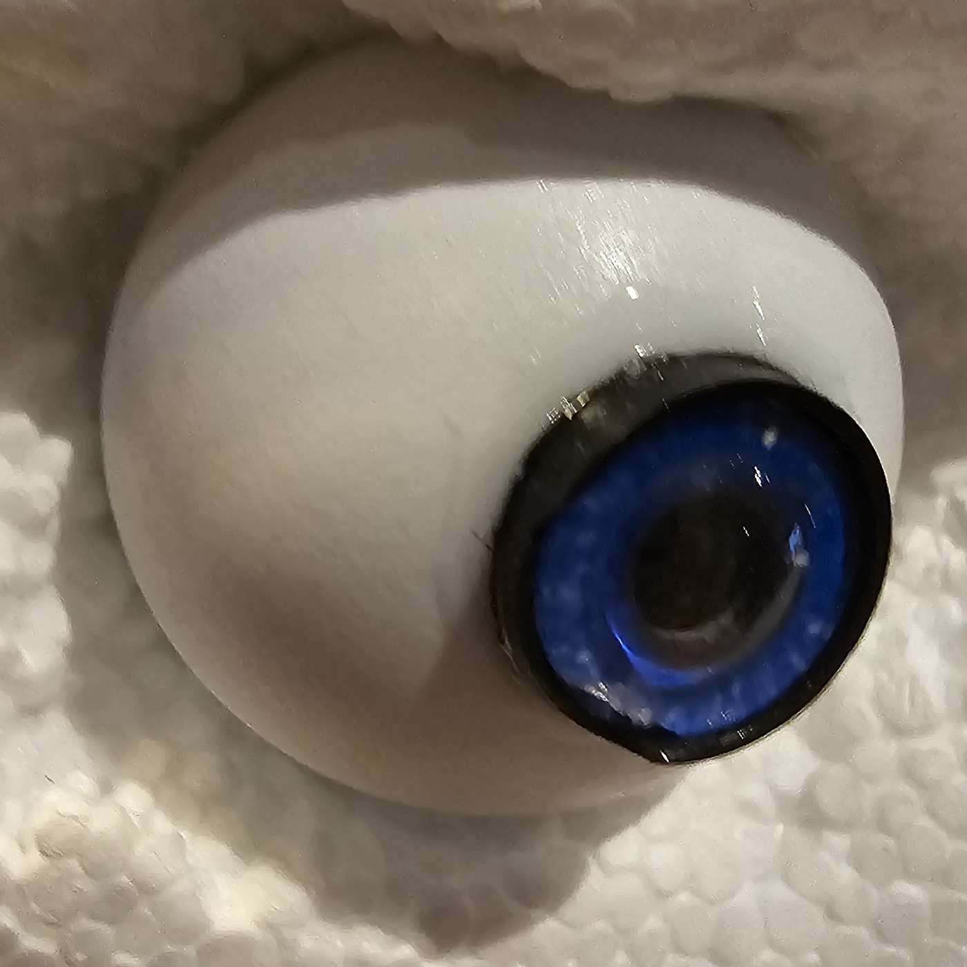 Pre Reg Optometrist