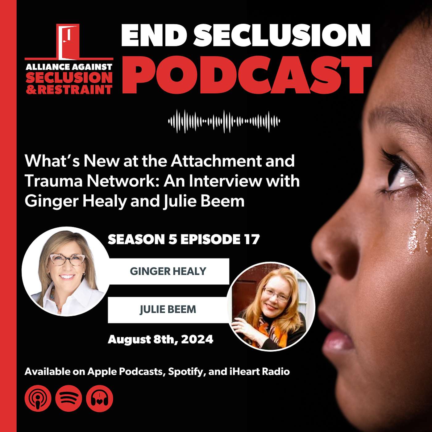 What’s New at the Attachment and Trauma Network: An Interview with Ginger Healy and Julie Beem