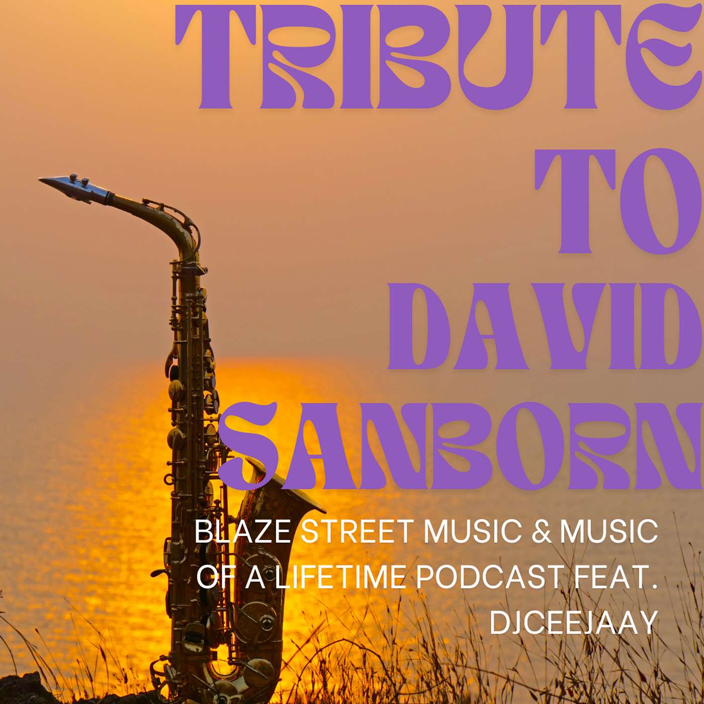 Blaze Street Music Presents  \'Music of a Lifetime\'