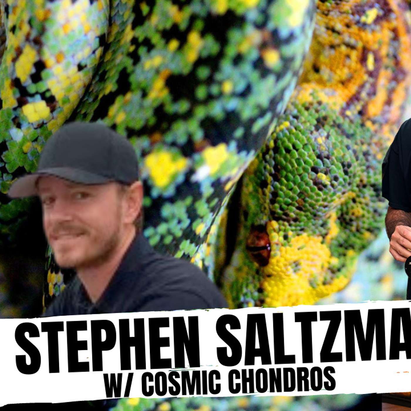 The Chondro Episode Nobody Saw Coming | All In The Tree Tuesday LIVE