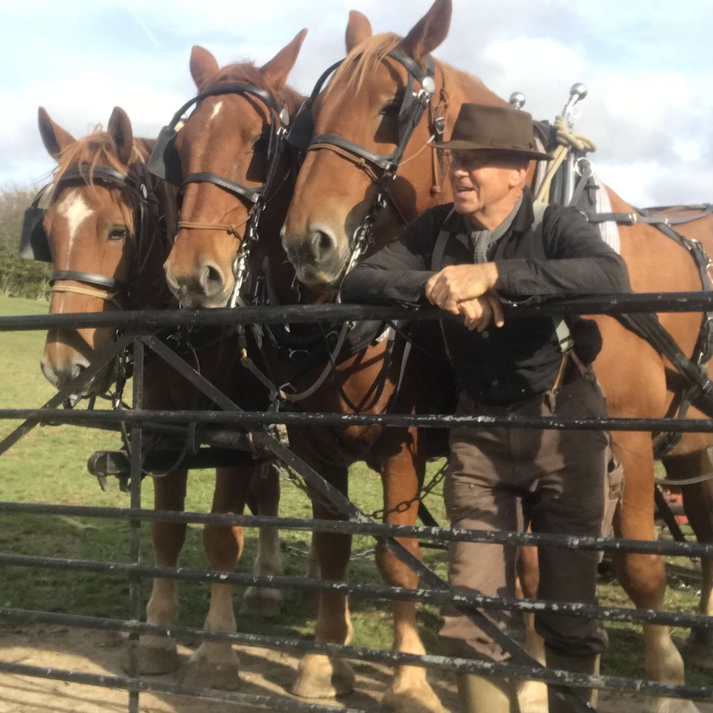Horse Drawn Farmer Podcast podcast artwork