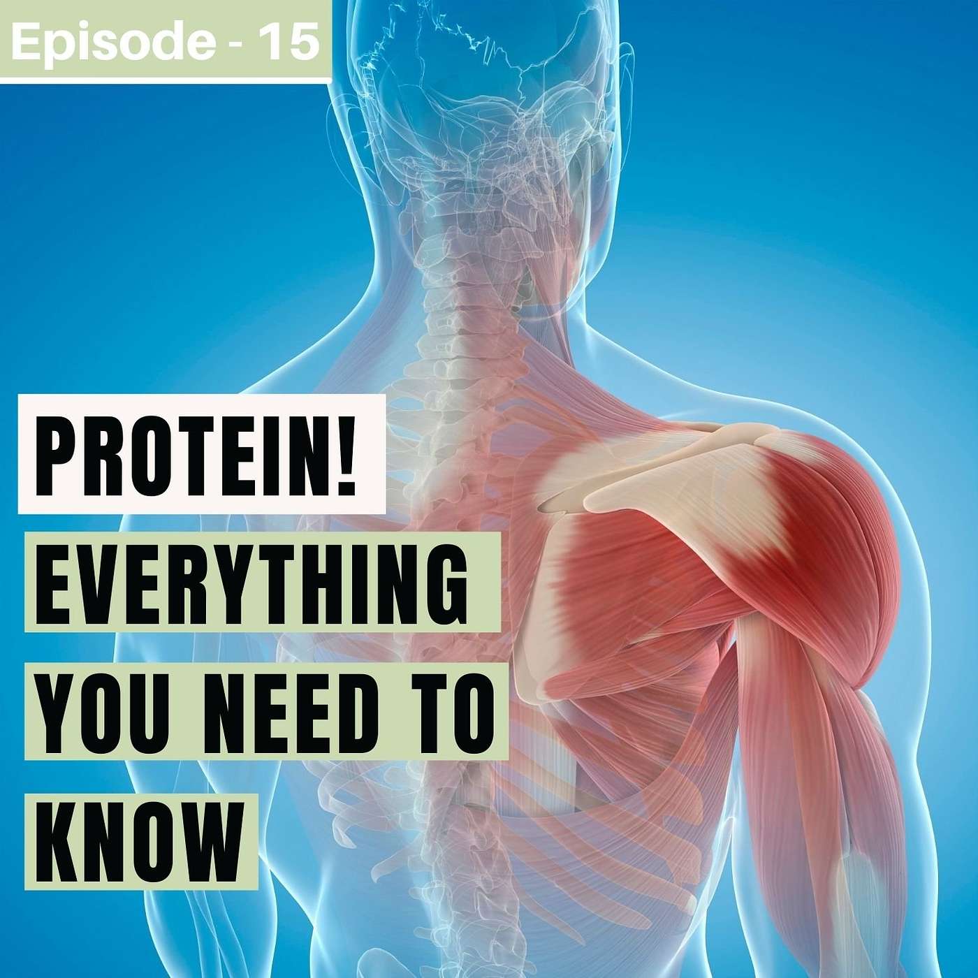 #15. Protein! Everything You Need To Know