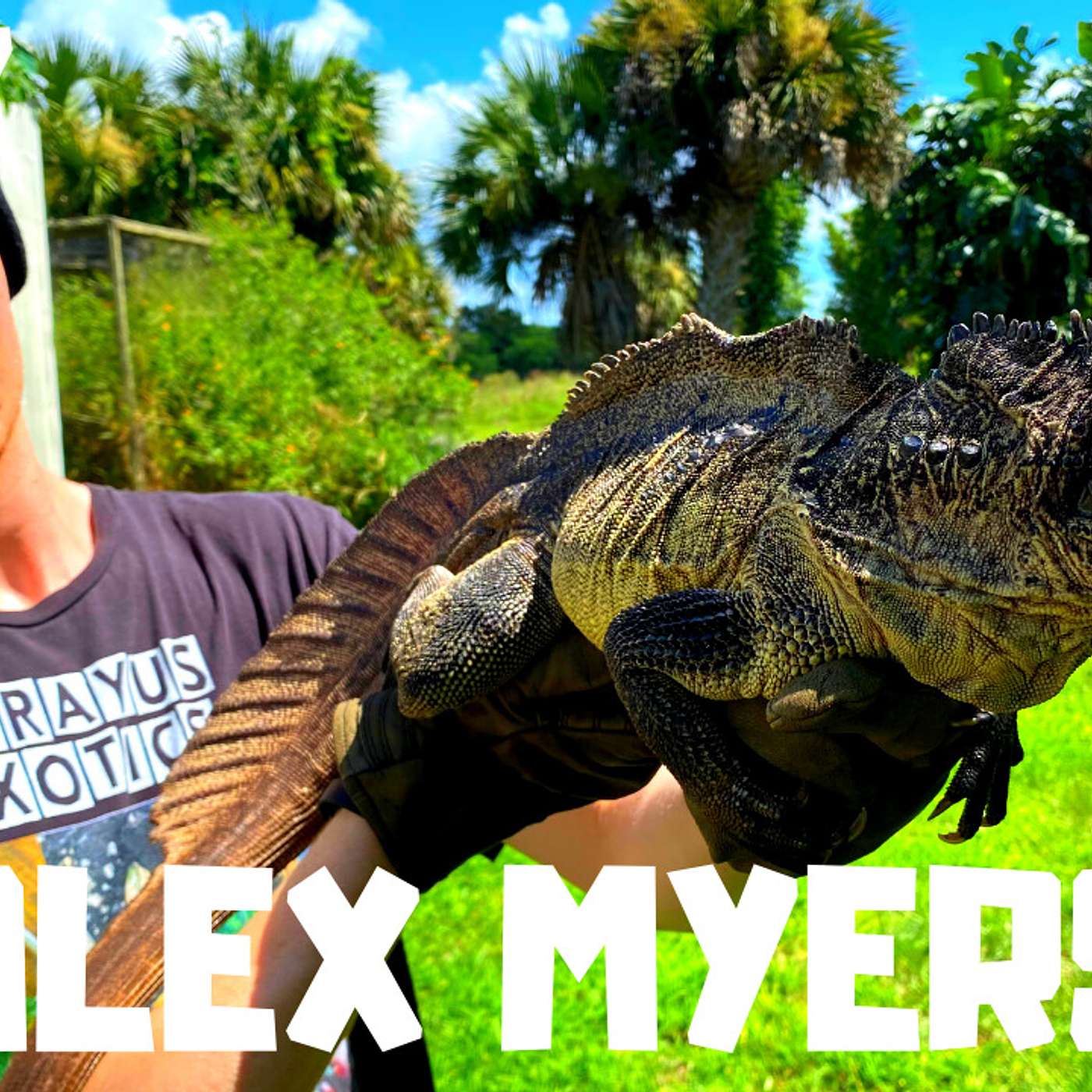 #187 ALEX MYERS | CHINESE WATER DRAGON BREEDER | SALFIN DRAGONS | TREE MONITORS | TRAP TALK