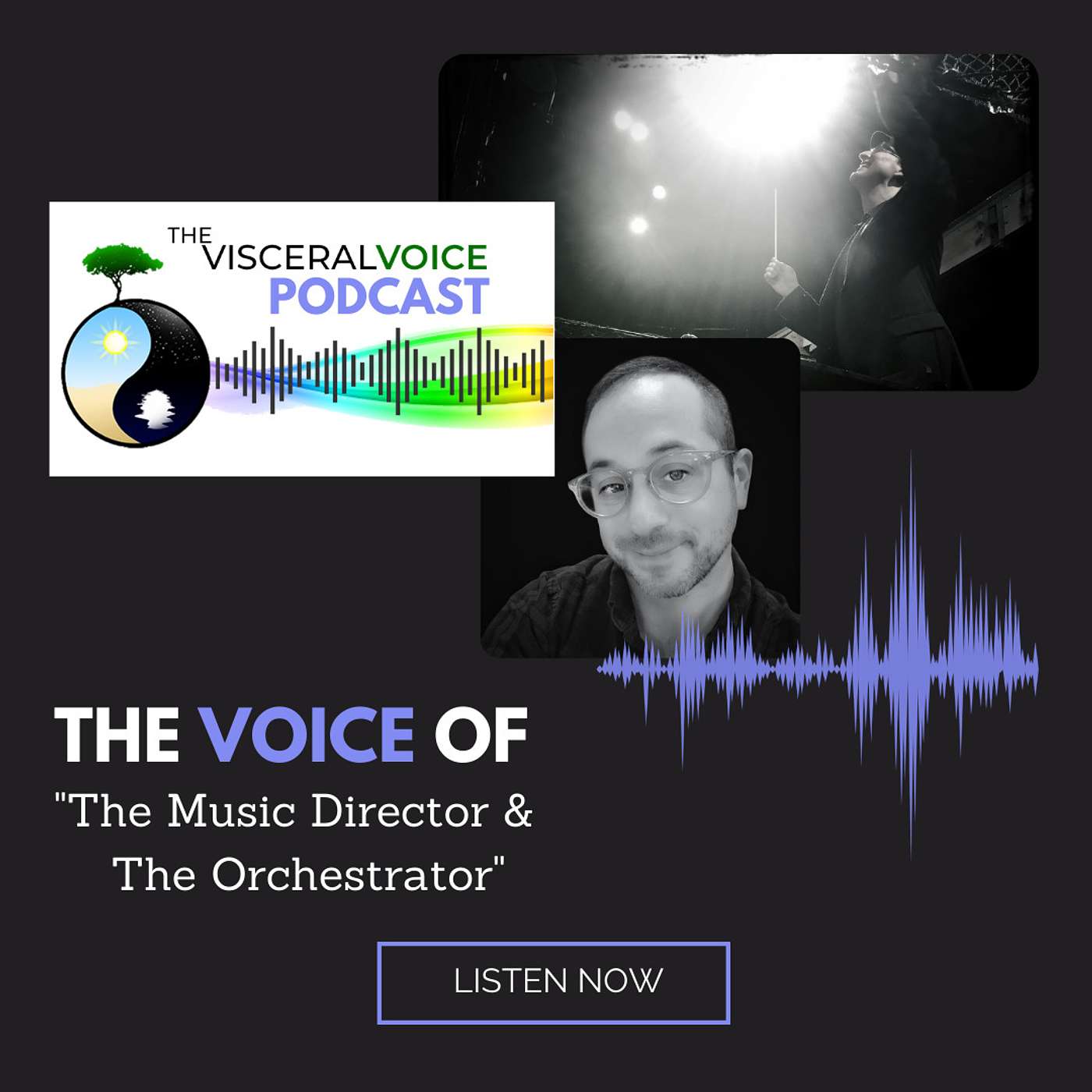 The Visceral Voice Podcast