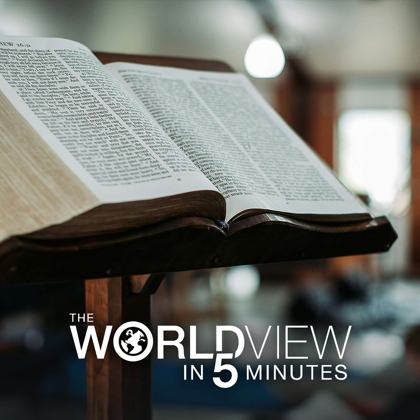 The World View in 5 Minutes - 11/20/2025