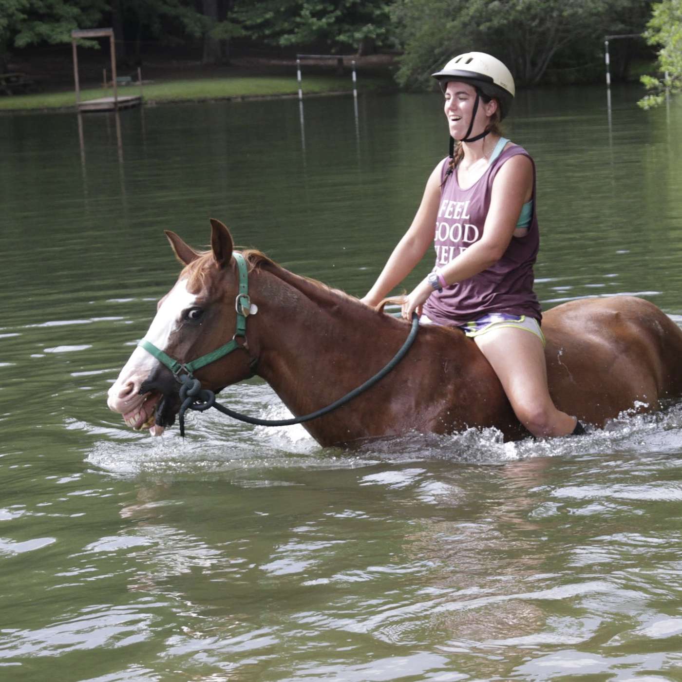 Horrified Horse