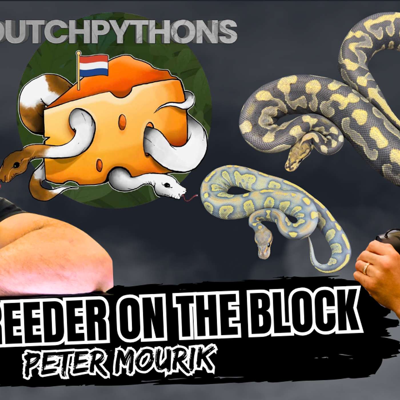 The Best Way To Work Puzzle In Europe | New Breeder On The Block (Live)