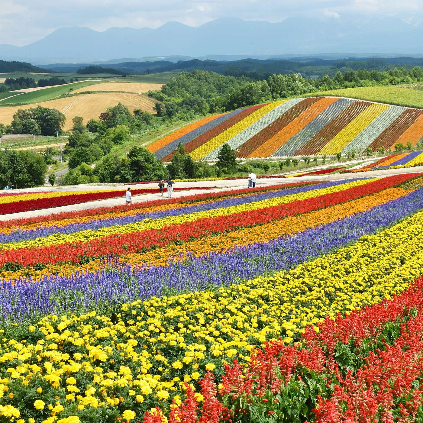 今年暑假的旅行计划：北海道和中亚 | This Summer’s Travel Plans: Hokkaido and Central Asia episode artwork